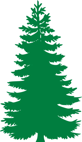 Fir Evergreen Trees Stickdatei