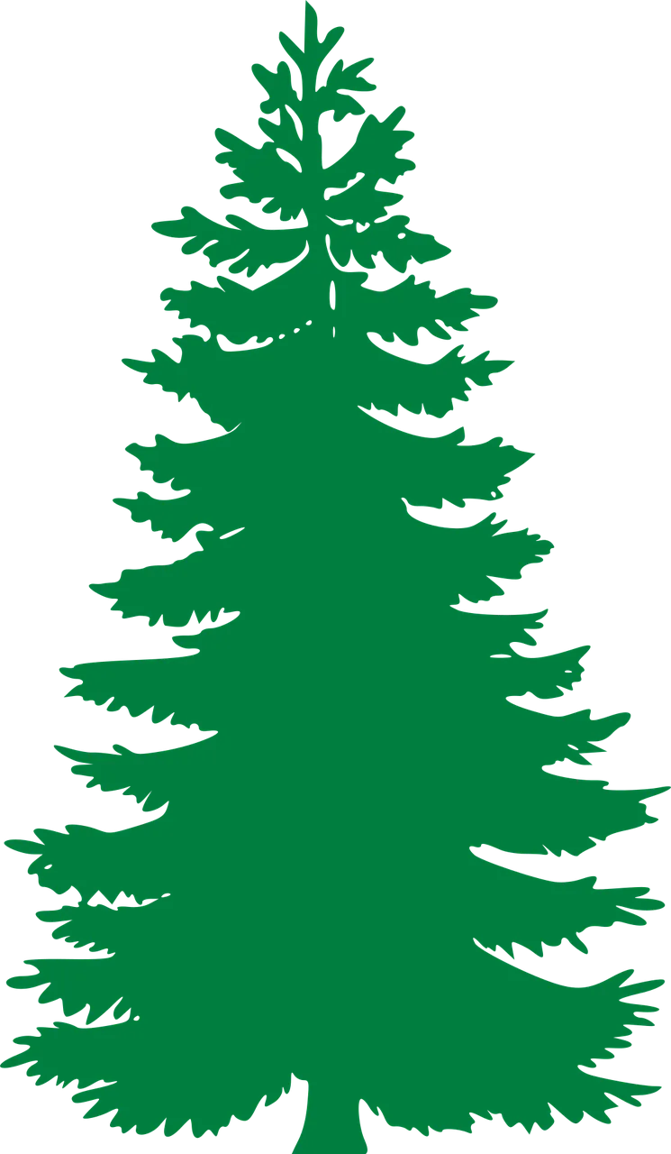 Fir Evergreen Trees Stickdatei – Weihnachten
