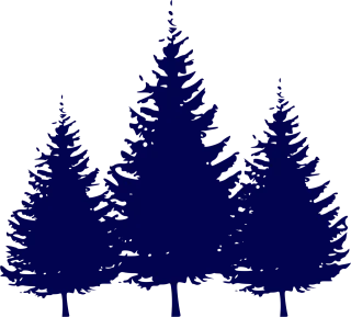 Forest Fir trees Nature Stickdatei