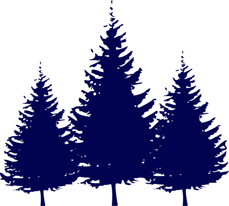 Forest Fir trees Nature Stickdatei – Natur