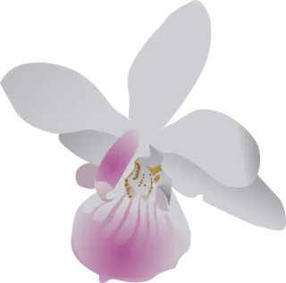Butterfly Orchid Flower Stickdatei
