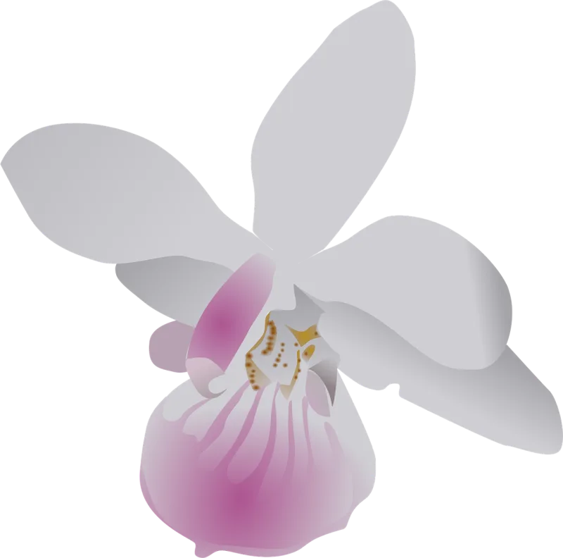 Butterfly Orchid Flower Stickdatei – Blumen