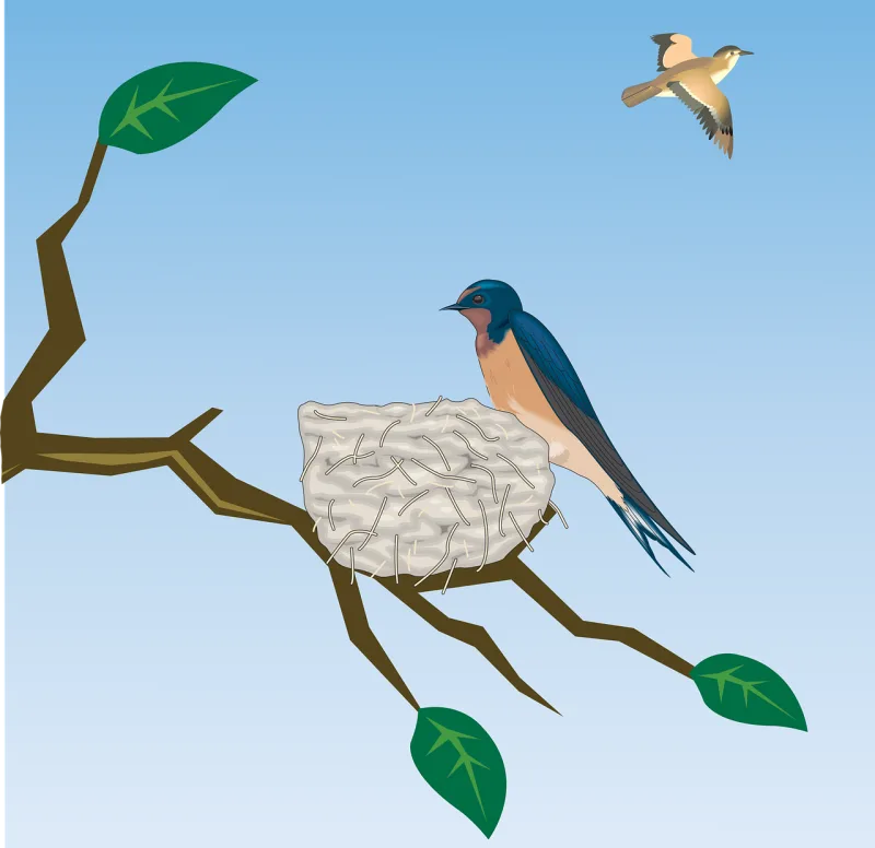 Barn swallow Swallow Bird Stickdatei – Tiere