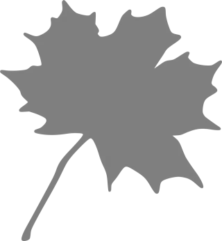 Maple Nature Leaf Stickdatei