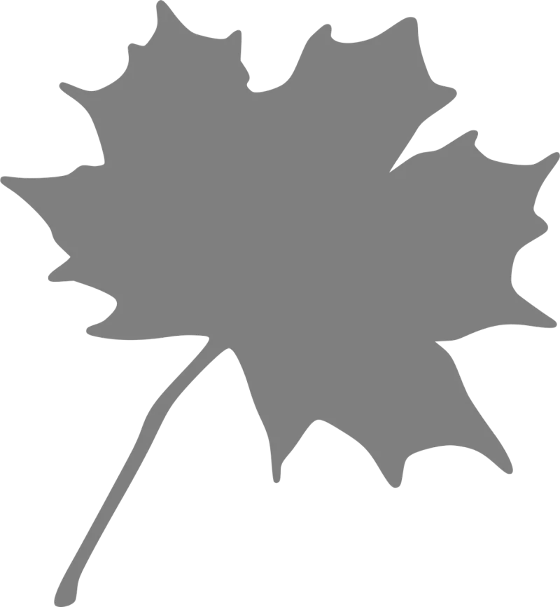 Maple Nature Leaf Stickdatei – Natur