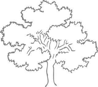 Oak Tree Grey Stickdatei