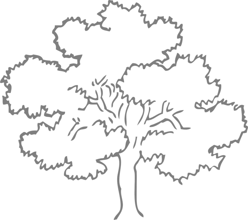 Oak Tree Grey Stickdatei – Natur