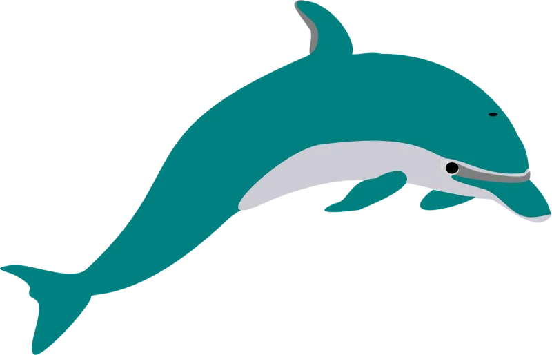 Dolphin Teal Fish Stickdatei – Tiere