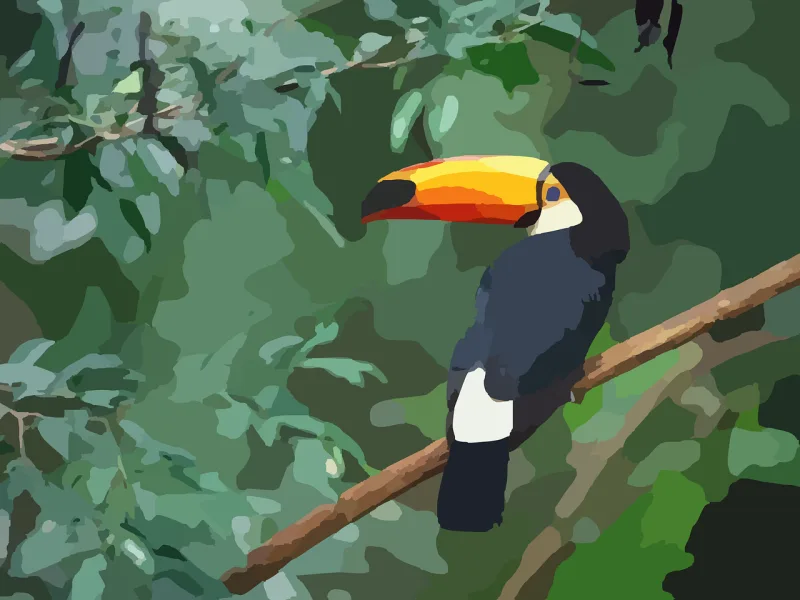 Toucan Bird Nature Stickdatei – Tiere