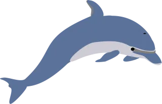 Dolphin Leaping Fish Stickdatei
