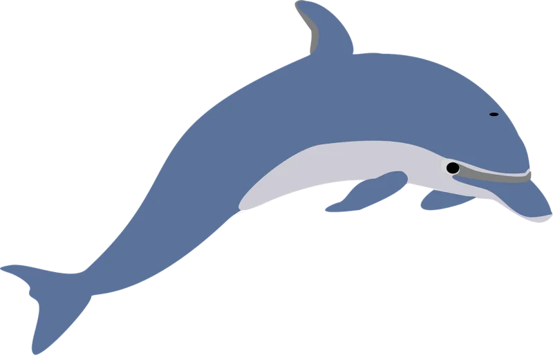 Dolphin Leaping Fish Stickdatei – Tiere
