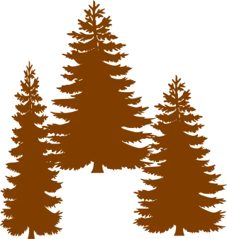 Trees Forest Fir trees Stickdatei – Natur