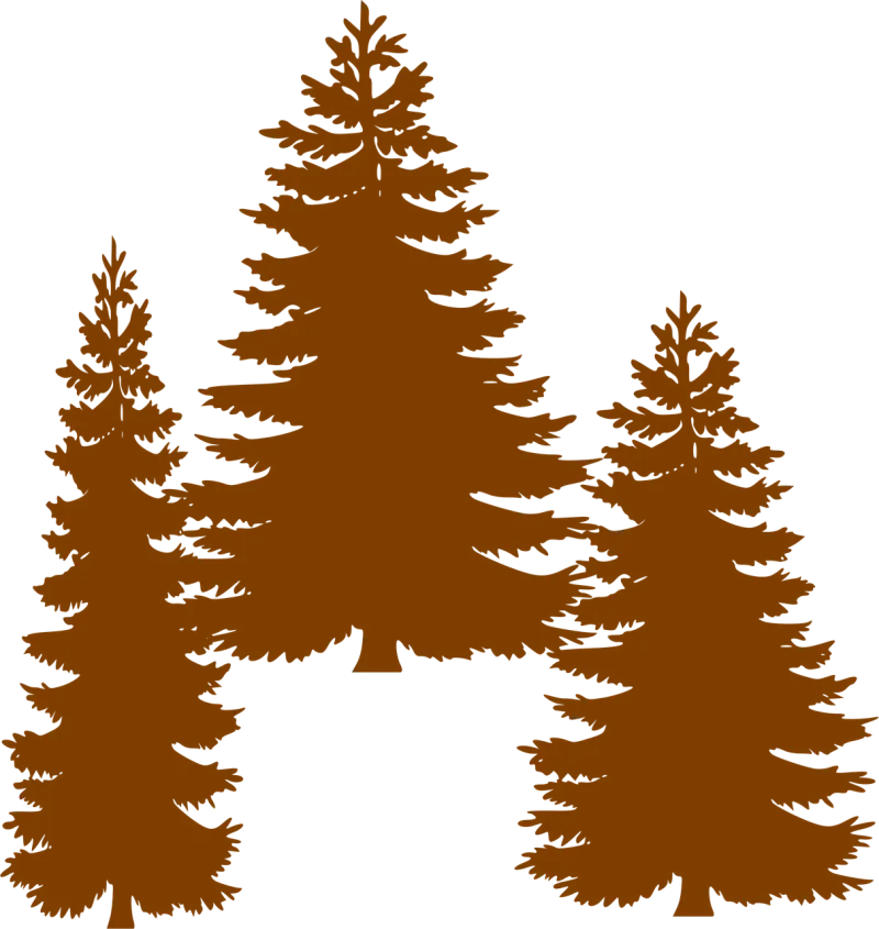 Trees Forest Fir trees Stickdatei – Natur