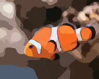 Clown fish Anemone fish Swimming Stickdatei