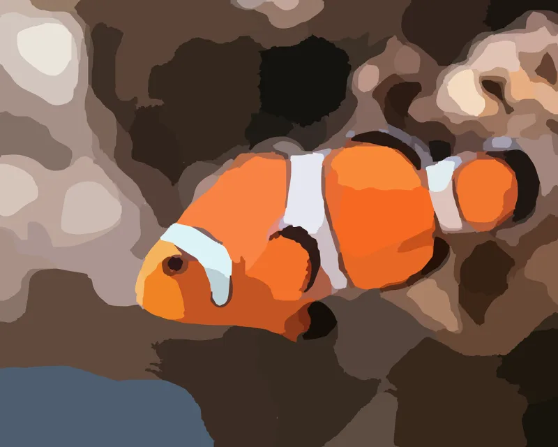 Clown fish Anemone fish Swimming Stickdatei – Tiere
