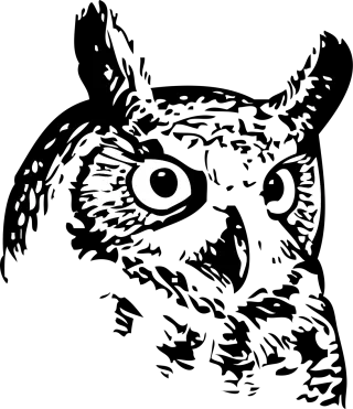 Owl Bird Black and white Stickdatei