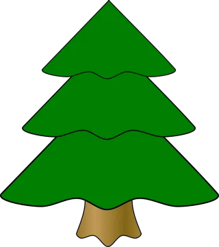 Evergreen Fir tree Nature Stickdatei