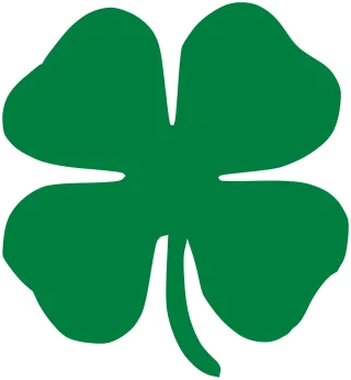 Shamrock Nature Clover Stickdatei