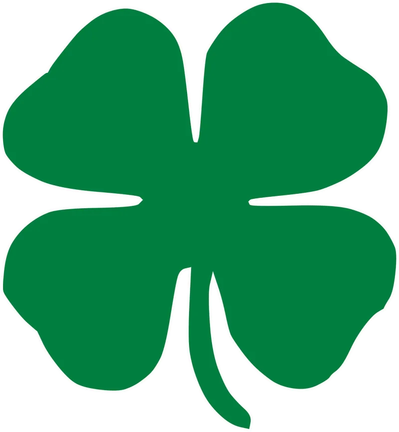 Shamrock Nature Clover Stickdatei – Natur