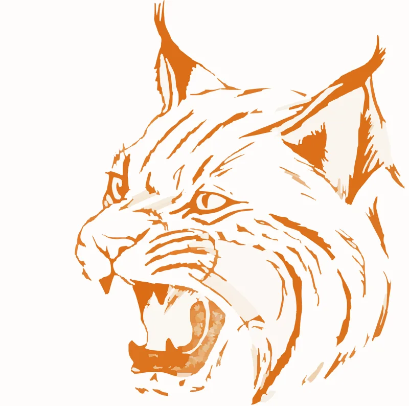 Bobcat Nature Wildlife Stickdatei – Tiere