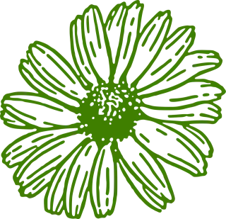 Gerbera Beautiful flowers Flower wallpaper Stickdatei