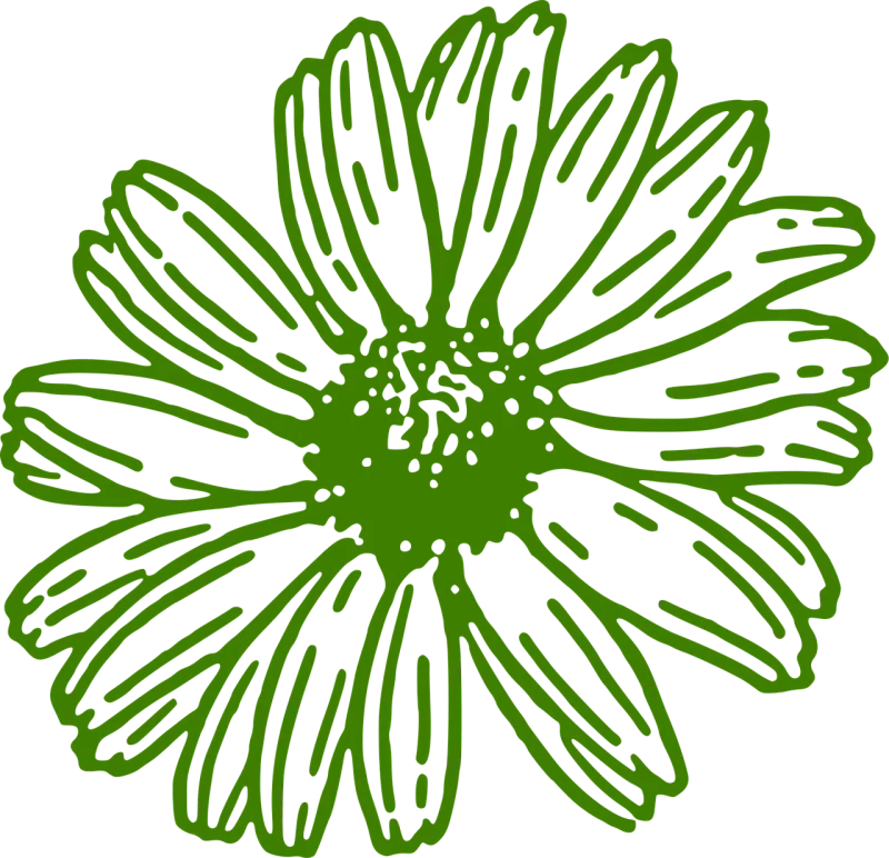 Gerbera Beautiful flowers Flower wallpaper Stickdatei – Blumen