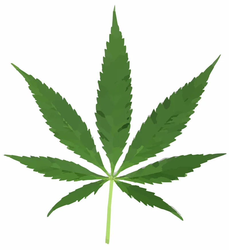 Leaf Pot Weed Stickdatei – Natur