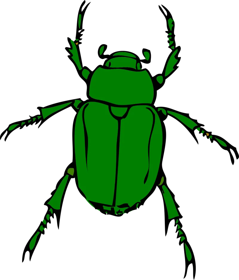 Beetle Bug Insect Stickdatei – Tiere