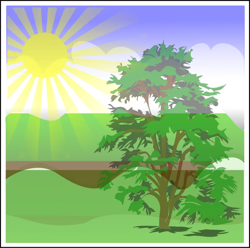 Landscape Summer Tree Stickdatei – Natur