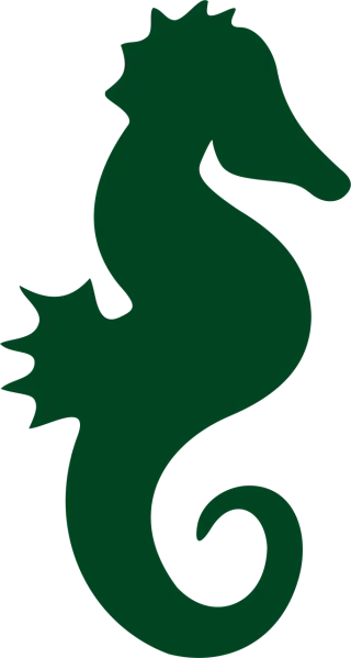 Seahorse Nature Sea horse Stickdatei