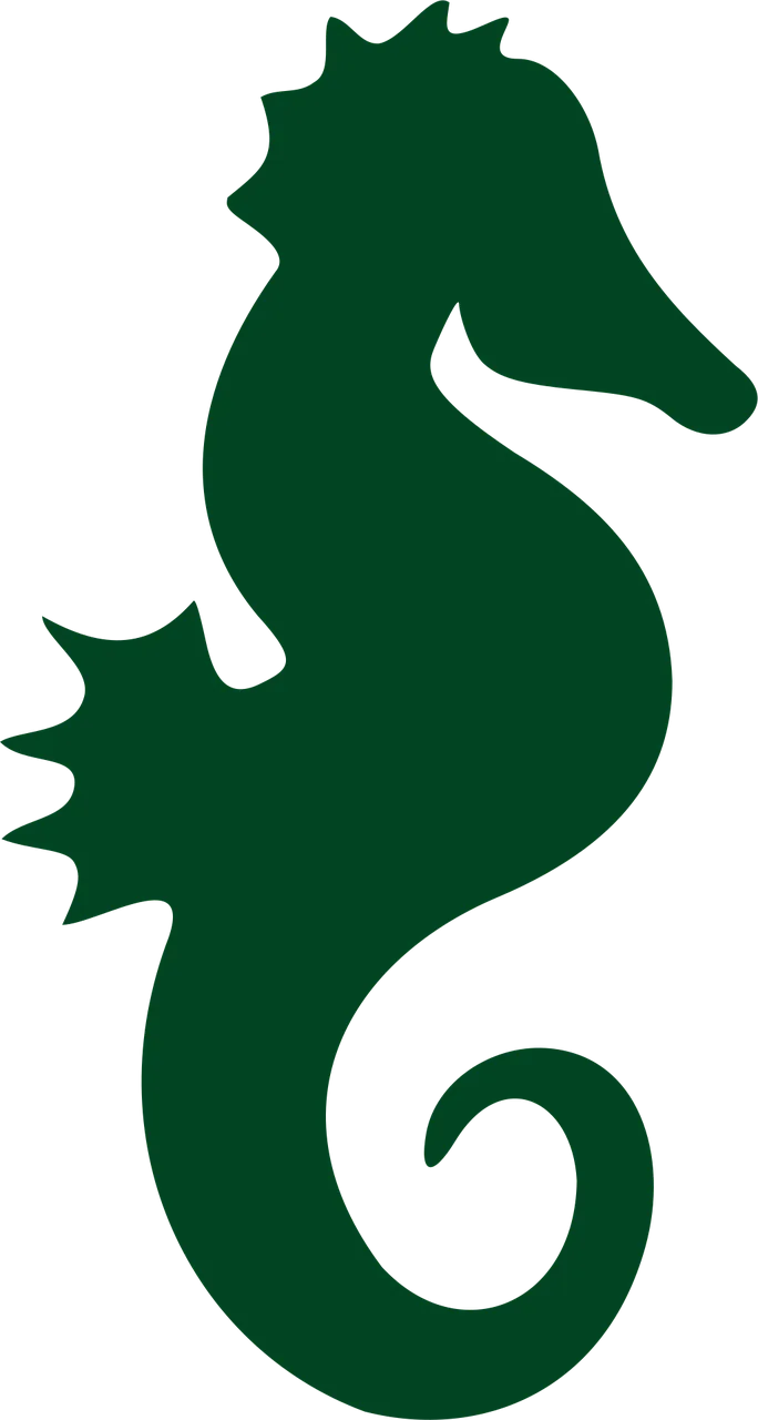 Seahorse Nature Sea horse Stickdatei – Tiere