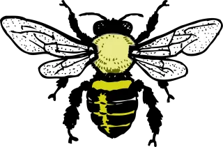 Honey bee Bee Honey Stickdatei