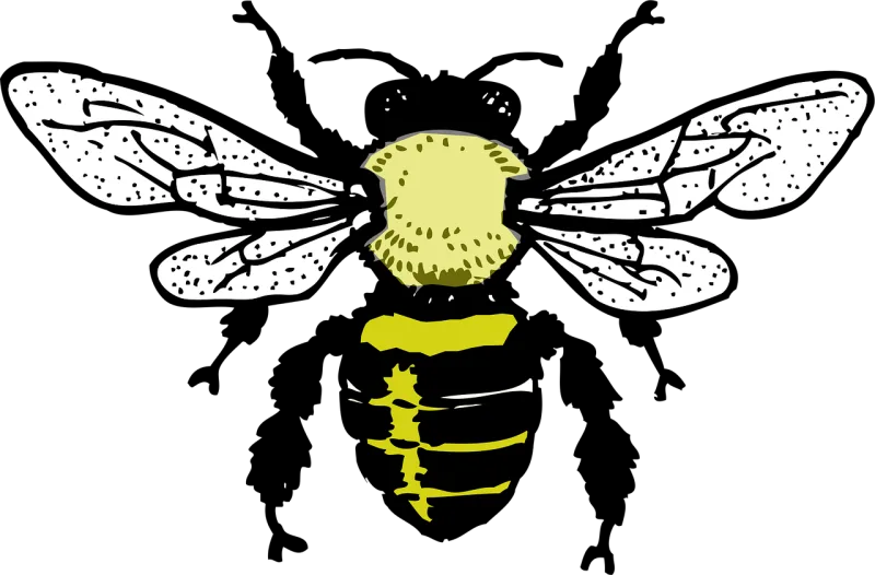 Honey bee Bee Honey Stickdatei – Tiere