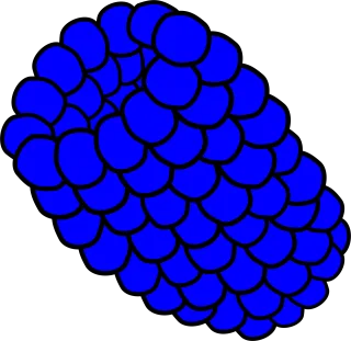 Raspberry Blue Fruit Stickdatei