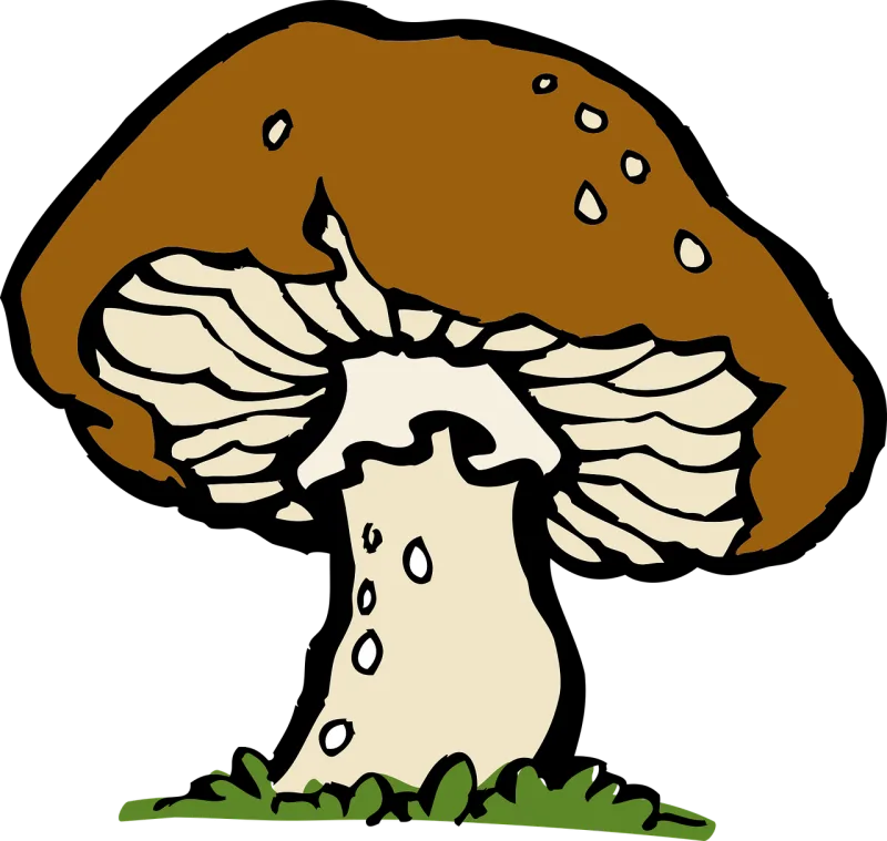 Mushroom Big Fungus Stickdatei – Natur