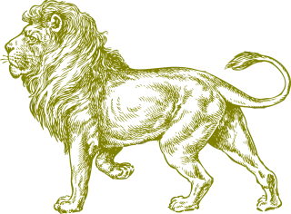 Lion Wildcat Africa Stickdatei – Tiere