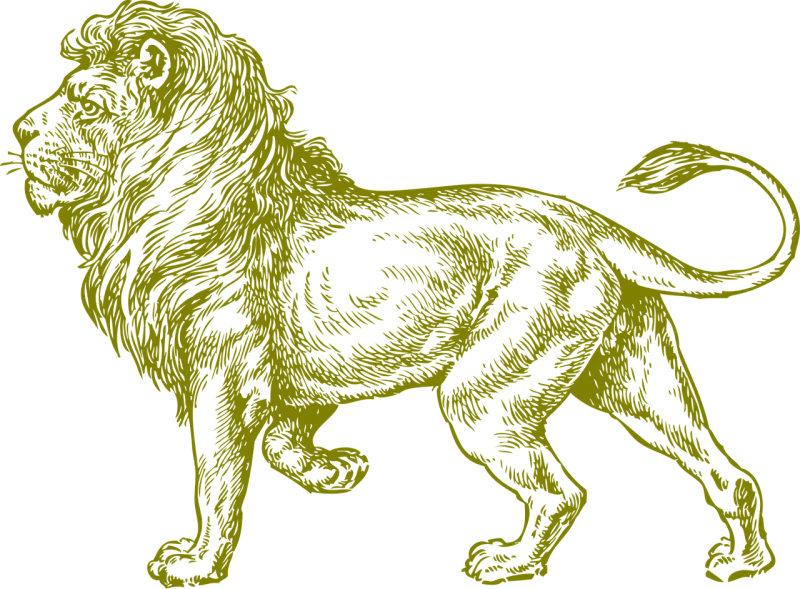 Lion Wildcat Africa Stickdatei – Tiere