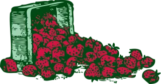 Strawberries Fruit Berries Stickdatei