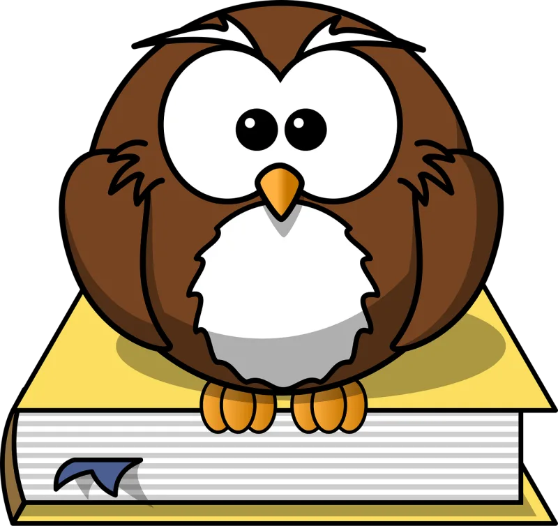 Owl Book Animal Stickdatei – Tiere
