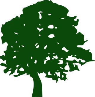 Oak tree Tree Oak Stickdatei