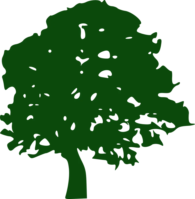 Oak tree Tree Oak Stickdatei – Natur