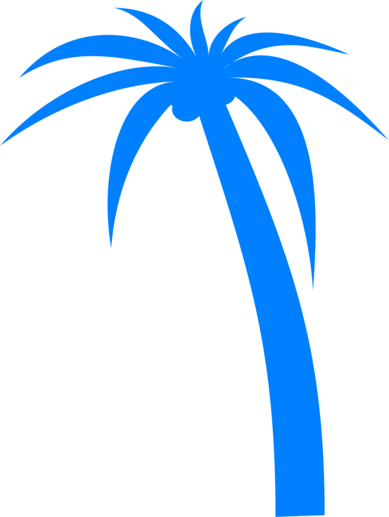 Palm tree Palm Tropical Stickdatei – Natur