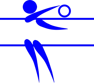 Volleyball Sports Ball Stickdatei