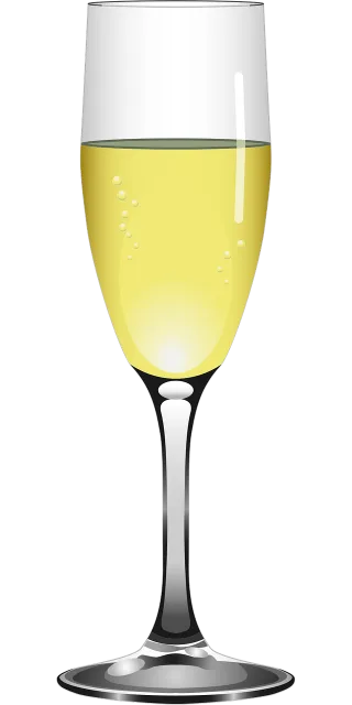 Glass Champagne Bubbly Stickdatei