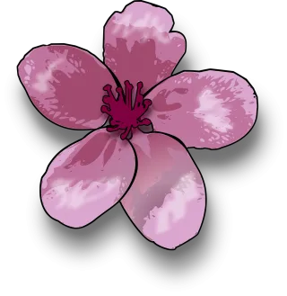 Lily Blossom Nature Stickdatei