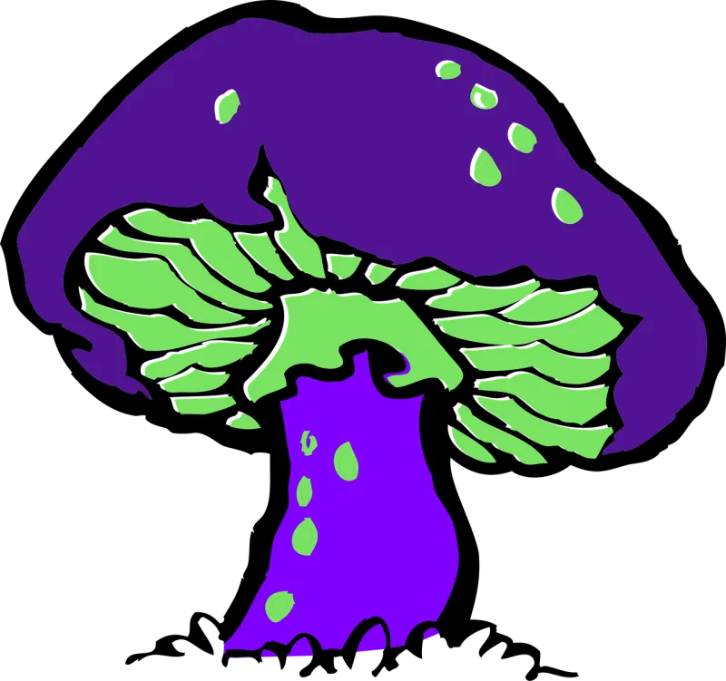 Mushroom Poisonous Green Stickdatei – Natur