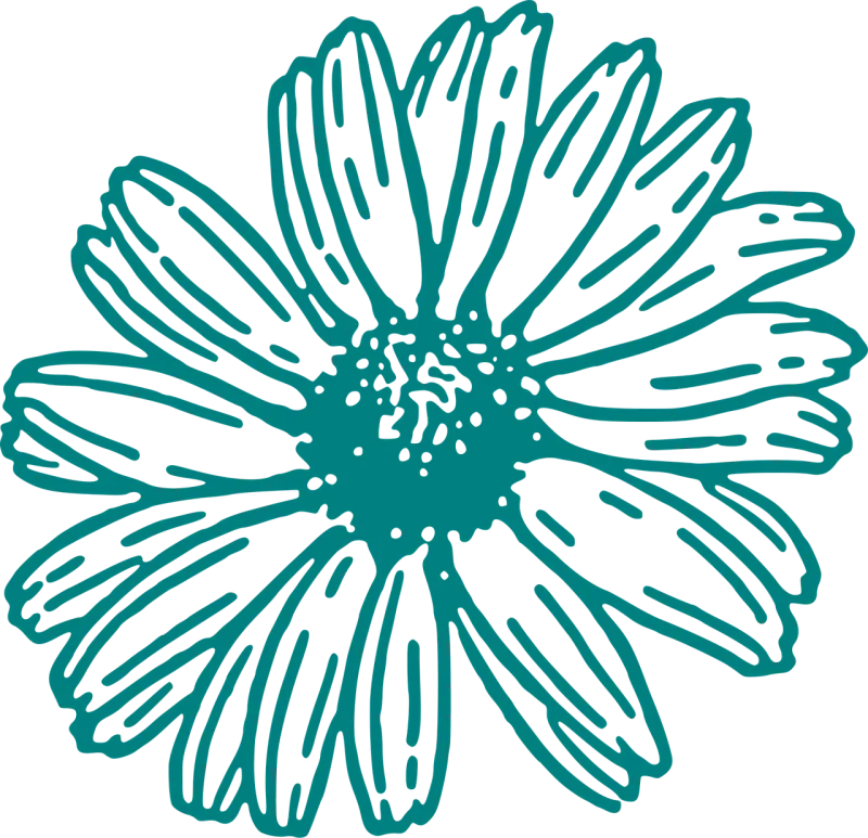 Daisy Flower Beautiful flowers Stickdatei – Blumen