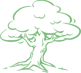 Silver oak Oak Tree Stickdatei