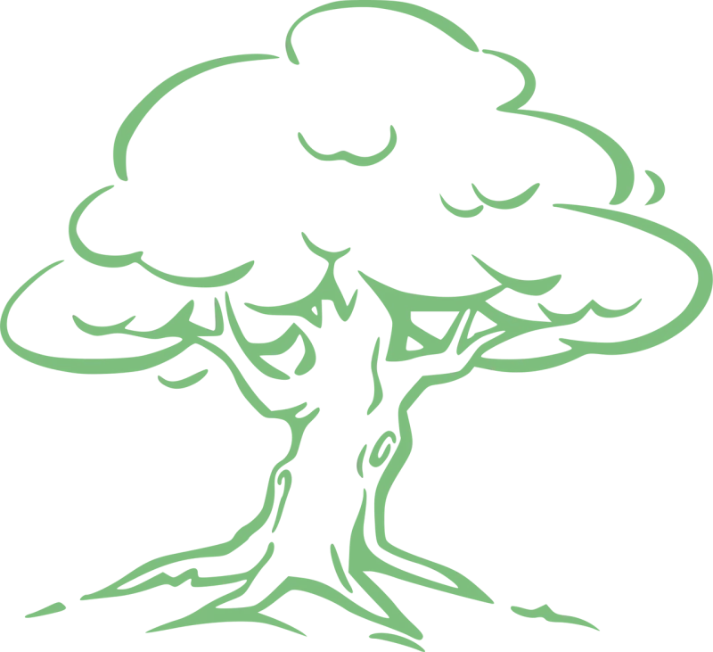 Silver oak Oak Tree Stickdatei – Natur