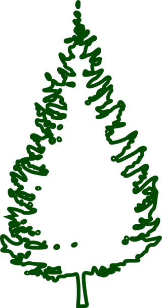 Fir tree Conifer Tree Stickdatei
